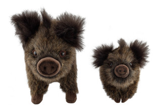 Photo A56001-V.jpg Peluche sanglier