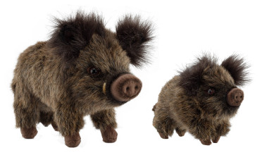 Photo A56001-V2.jpg Peluche sanglier