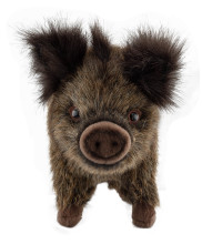 Photo A56002-02.jpg Peluche sanglier