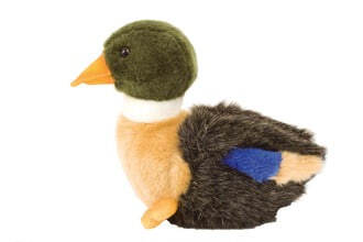 Duck plush