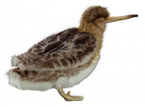 Photo A56054-03 Woodcock plush
