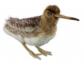 Woodcock plush