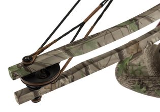 AJ115-9-Arbalète SHOOT AGAIN COMPOUND Photo AJ115-9-Arbalète SHOOT AGAIN COMPOUND