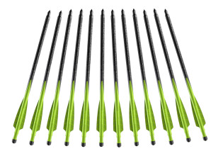 AJ776-01.jpg Carreaux HYPERBOLT 7" 2 Fletch x12 Photo AJ776-01.jpg Carreaux HYPERBOLT 7" 2 Fletch x12