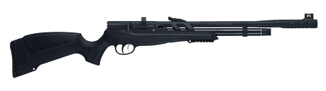 Beeman Carabine PCP Raider 1320