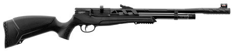 Photo CA370-04.jpg Beeman Carabine PCP Raider 1320
