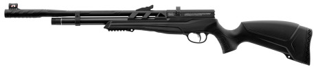 Photo CA370-05.jpg Beeman Carabine PCP Raider 1320