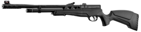 Photo CA370-06.jpg Beeman Carabine PCP Raider 1320