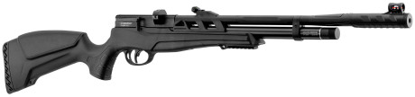 Beeman PCP Raider 1320 Rifle