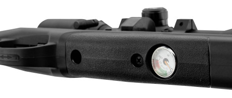 Photo CA370-12.jpg Beeman Carabine PCP Raider 1320