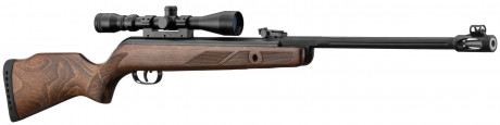 Carabine Gamo Hunter 440 AS Cal. 4,5 mm + lunette ...