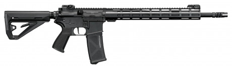 Photo LE2040-3.jpg Réplique AEG AR15 Rifle FE Arcturus