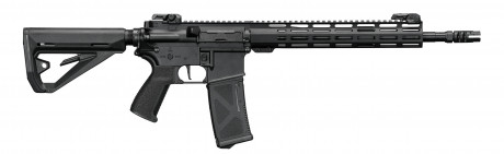 Photo LE2041-3.jpg Réplique AEG AR15 Carabine FE Arcturus
