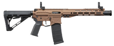 Photo LE9058-1.jpg AEG R15 MK2 Zion Arms Nebula II 10'' Bronze Replica