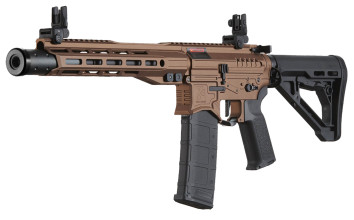 Photo LE9058-3.jpg AEG R15 MK2 Zion Arms Nebula II 10'' Bronze Replica
