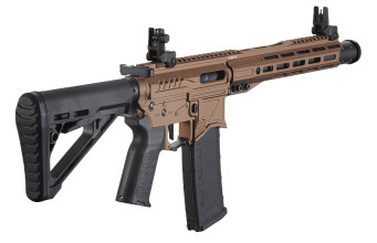 Photo LE9058-4.jpg AEG R15 MK2 Zion Arms Nebula II 10'' Bronze Replica