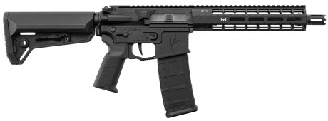 Photo LE9072-02.jpg AEG Valient GEN4 ASTER Replica