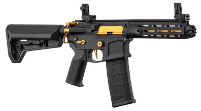 Réplique AEG LT-32 Hellion Noir/Gold NSR pack complet