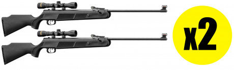 Pack Carabine à air Beeman Wolverine RS1 cal. 4,5 ...
