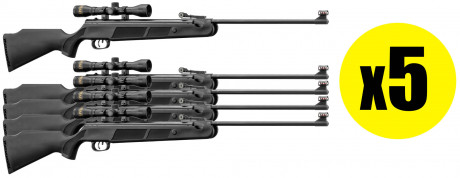 Pack Carabine à air Beeman Wolverine RS1 cal. 4,5 ...