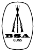 BSA GUNS